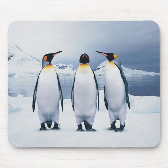 Tapis De Souris Trois le Roi pingouins (Devant)