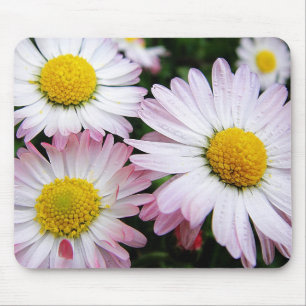 Tapis De Souris Trois marguerites rose mousepad
