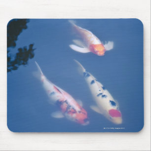 Tapis De Souris Trois poissons japonais de koi dans l'étang