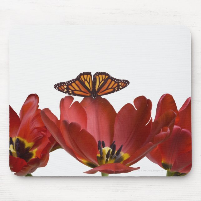 Tapis De Souris Trois tulipes rouges et un papillon monarque contr (Devant)
