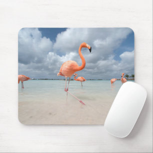 Tapis De Souris Tropical Beaches   Flamingos Beach, Aruba