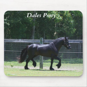 Tapis De Souris Trot de poney de vallées