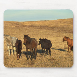 Tapis De Souris Troupeau de chevaux dans l'Ouest