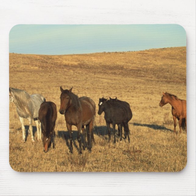 Tapis De Souris Troupeau de chevaux dans l'Ouest (Devant)