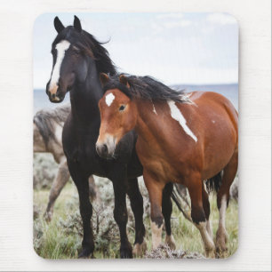 Tapis De Souris Troupeau de Chevaux sauvages