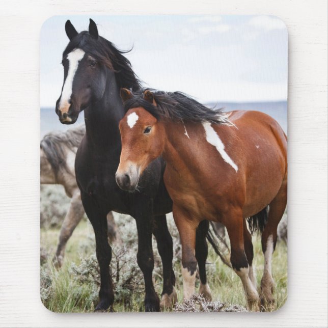 Tapis De Souris Troupeau de Chevaux sauvages (Devant)