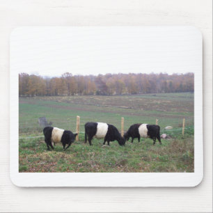 Tapis De Souris Troupeau de vache à Beltie dans l'automne