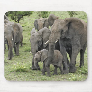 Tapis De Souris Troupeau d'éléphants d'Afrique