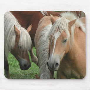 Tapis De Souris Troupeau Mousepad de palomino