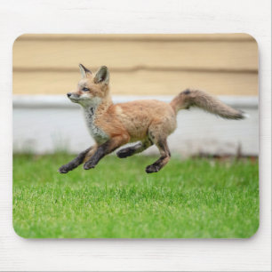 Tapis De Souris Trousse Red Fox dans la vallée de l'Hudson