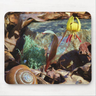 Tapis De Souris Truite jaune et prune Lily et Coquille d'escargot