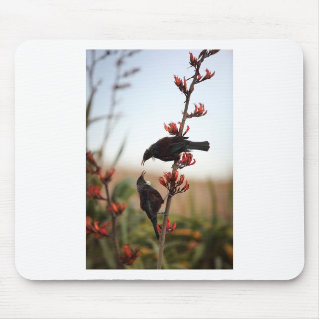 Tapis De Souris Tui birds sur le lin néo-zélandais (Devant)