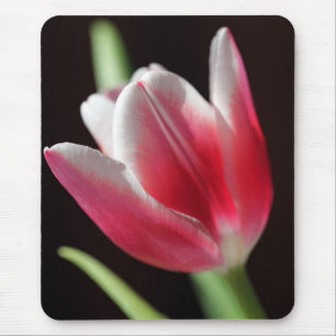 Tapis De Souris Tulip