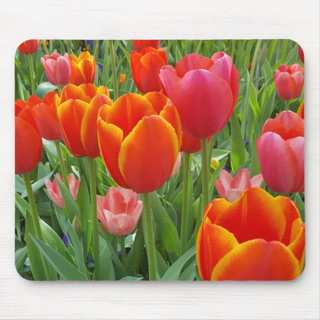 Tapis De Souris Tulip (Devant)