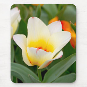 Tapis De Souris Tulip