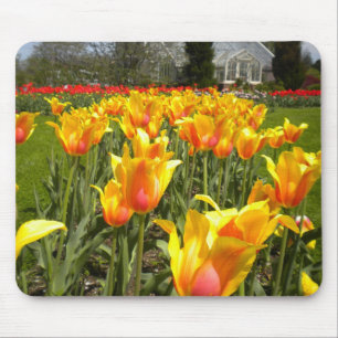 Tapis De Souris Tulip Gardens