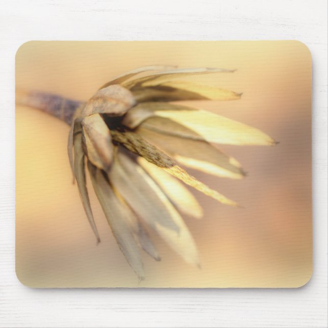 Tapis De Souris Tulip Poplar Graine vide Pod (Devant)