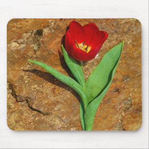 Tapis De Souris Tulipe jaune et rouge