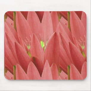 Tapis De Souris Tulipe rose