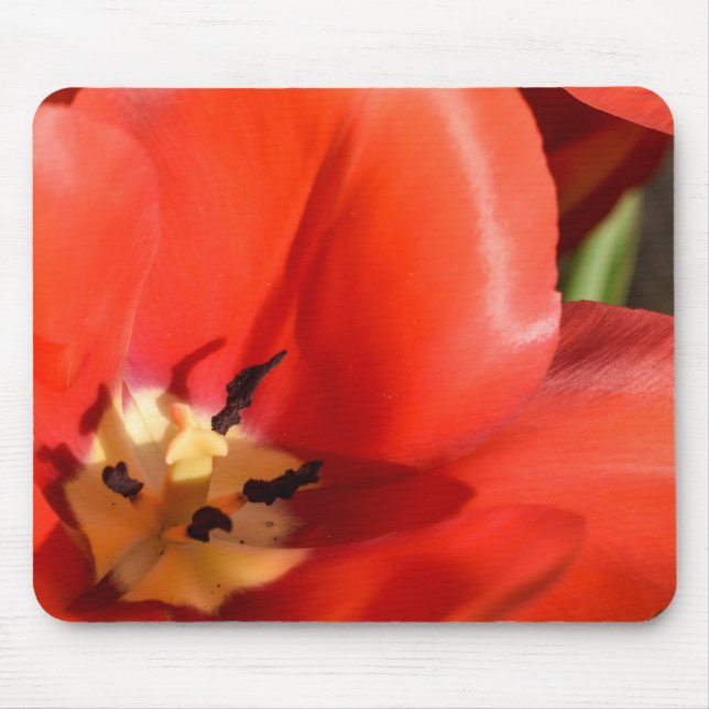 Tapis De Souris tulipe rouge (Devant)