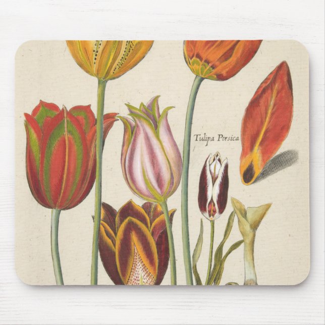 Tapis De Souris Tulipes (Devant)