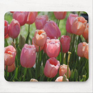 Tapis De Souris Tulipes de ressort