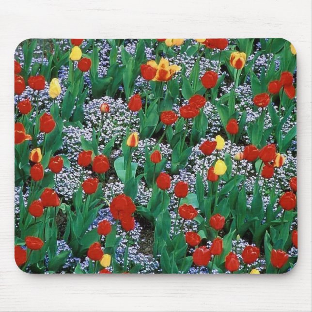 Tapis De Souris tulipes par TDGallery (Devant)