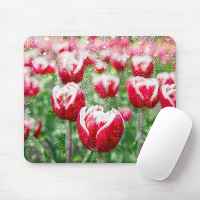 Tapis De Souris Tulipes rouges et blanches avec Raindrops (Avec souris)