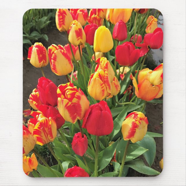 Tapis De Souris Tulipes rouges et jaunes (Devant)