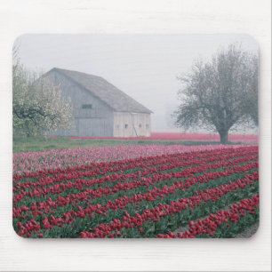 Tapis De Souris Tulipes rouges et roses saluent la journée dans un