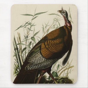 Tapis De Souris Turquie sauvage (mâle) des oiseaux d'Amérique d'Au