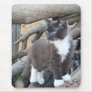 Tapis De Souris Tuxedo Kitten
