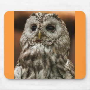 Tapis De Souris Twany Owl