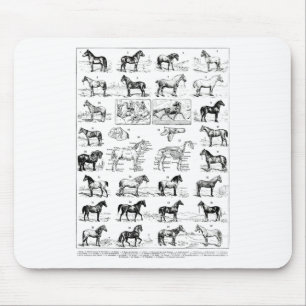Tapis De Souris Types vintages De Chevaux Cheval Élevage Horseback