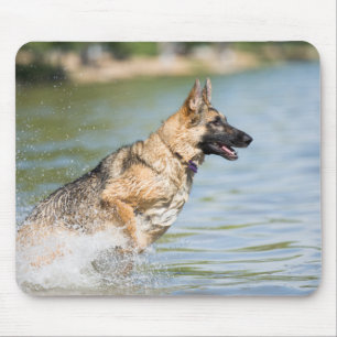 Tapis De Souris Un berger allemand se jette dans l'eau