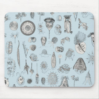 Tapis De Souris Un bestiaire des protozoaires