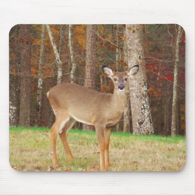 Tapis De Souris Un cerf de rêve de chasseur (Devant)