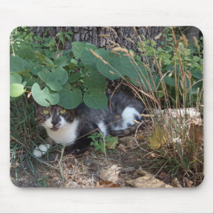 Tapis De Souris Un chat qui se cache
