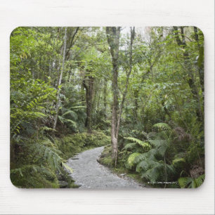 Tapis De Souris Un chemin à travers une forêt tropicale à la ba