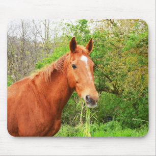 Tapis De Souris Un cheval appelé Orion