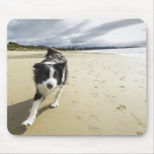 Tapis De Souris Un chien de border collie fonctionnant sur la