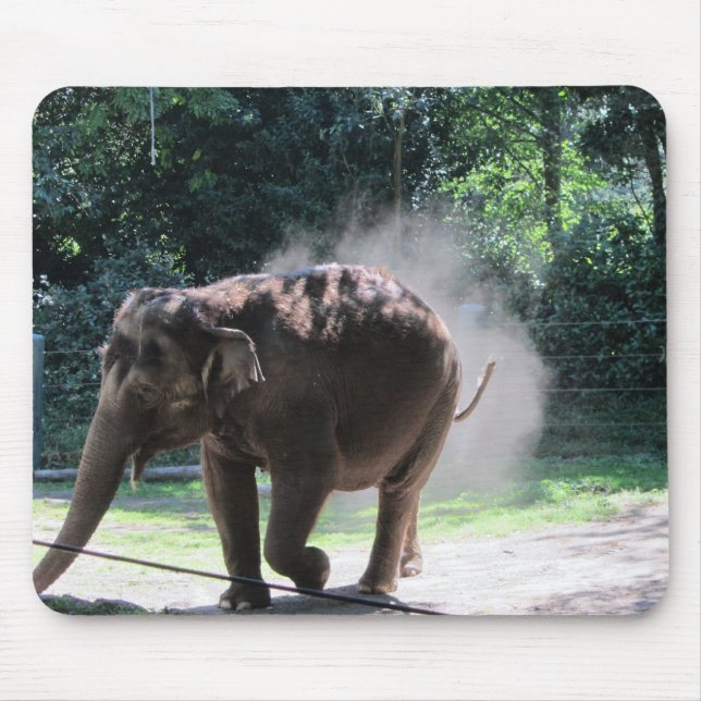 Tapis De Souris Un Éléphant Tire Un Peu De Poussière (Devant)