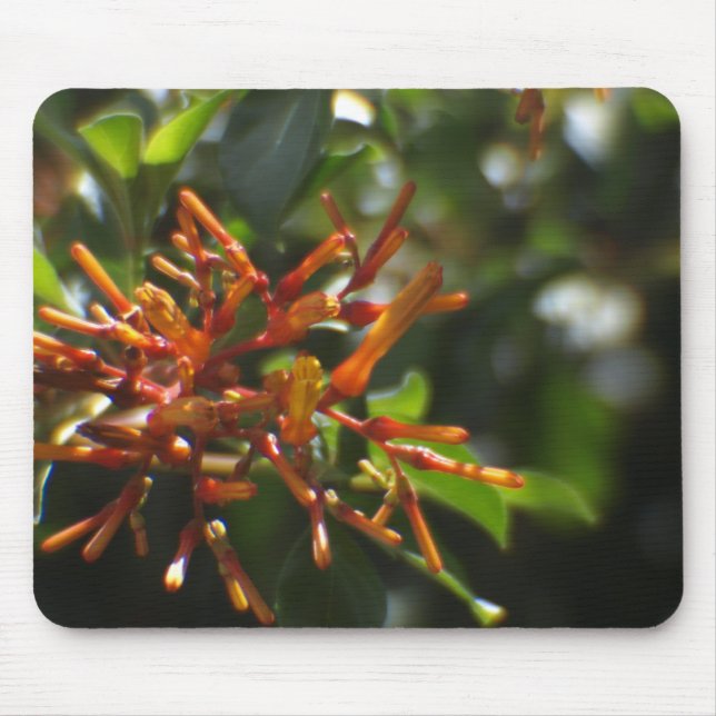 Tapis De Souris Un Plante orange unique sur un Mousepad (Devant)
