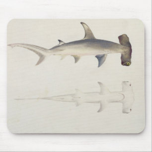 Tapis De Souris Un requin Marteau-dirigé, Loheia, autrefois