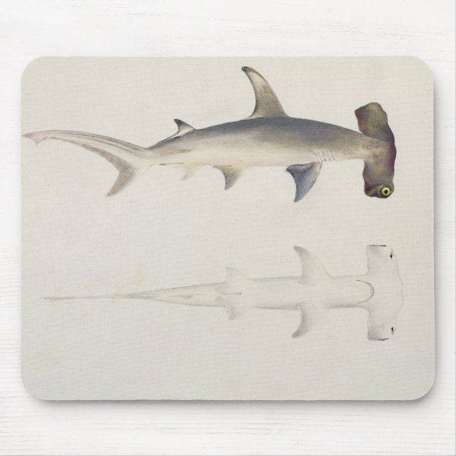 Tapis De Souris Un requin Marteau-dirigé, Loheia, autrefois (Devant)