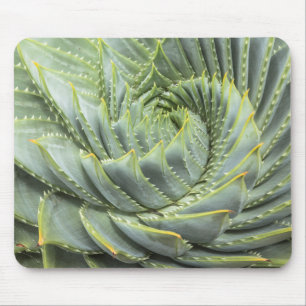Tapis De Souris Un Succulent vert et blanc