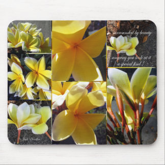 Tapis De Souris Une découverte spéciale