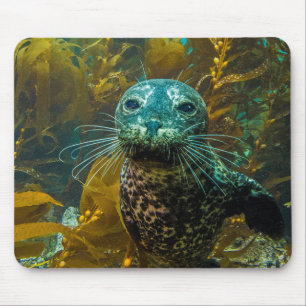 Tapis De Souris Une forêt curieuse   Santa Barbara de varech de