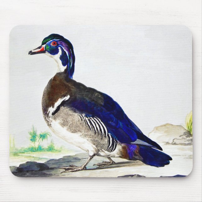Tapis De Souris Une peinture d'un canard par Aert Schouman (Devant)