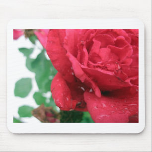 Tapis De Souris Une rose rouge